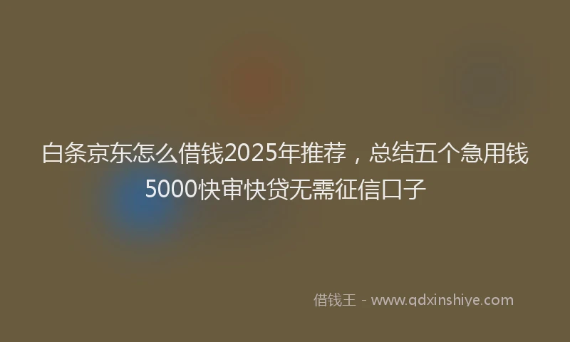 白条京东怎么借钱2025年推荐，总结五个急用钱5000快审快贷无需征信口子