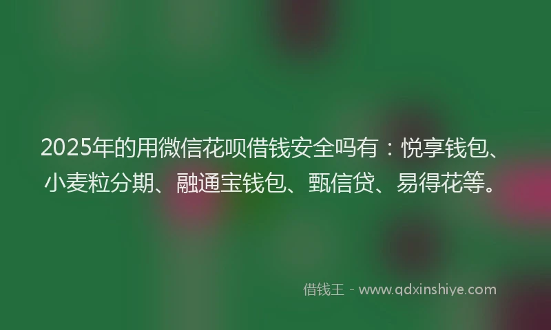 2025年的用微信花呗借钱安全吗有：悦享钱包、小麦粒分期、融通宝钱包、甄信贷、易得花等。