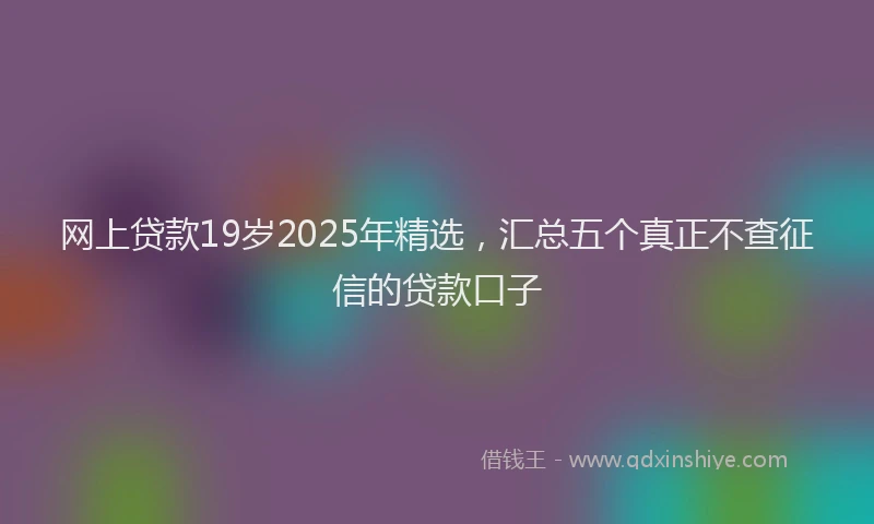 网上贷款19岁2025年精选，汇总五个真正不查征信的贷款口子
