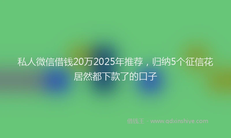私人微信借钱20万2025年推荐，归纳5个征信花居然都下款了的口子