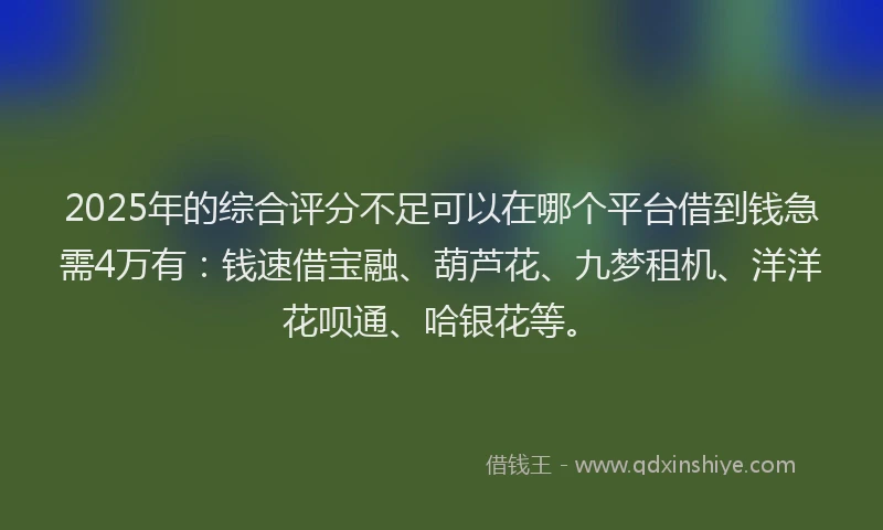 2025年的综合评分不足可以在哪个平台借到钱急需4万有：钱速借宝融、葫芦花、九梦租机、洋洋花呗通、哈银花等。