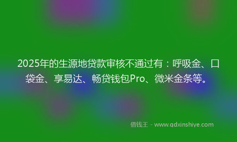 2025年的生源地贷款审核不通过有：呼吸金、口袋金、享易达、畅贷钱包Pro、微米金条等。