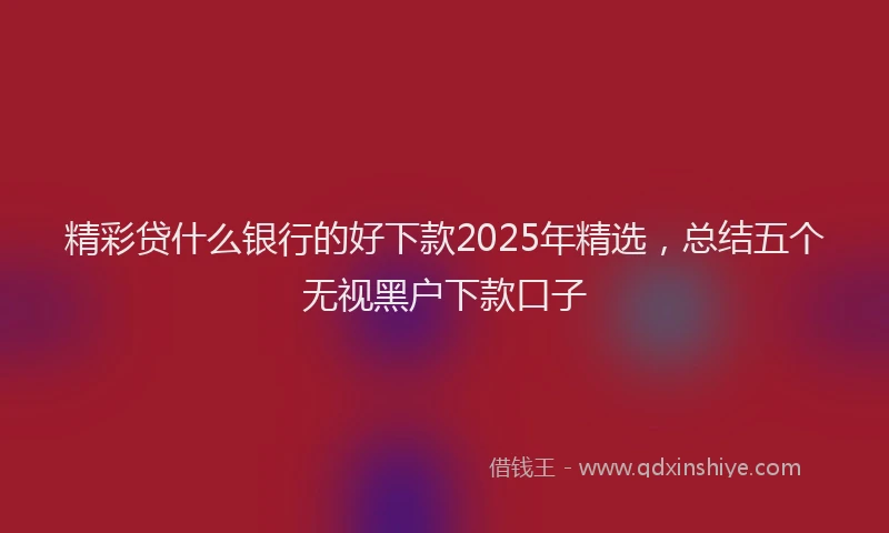 精彩贷什么银行的好下款2025年精选，总结五个无视黑户下款口子