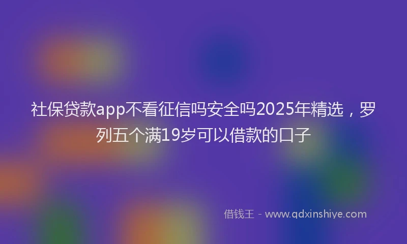 社保贷款app不看征信吗安全吗2025年精选，罗列五个满19岁可以借款的口子