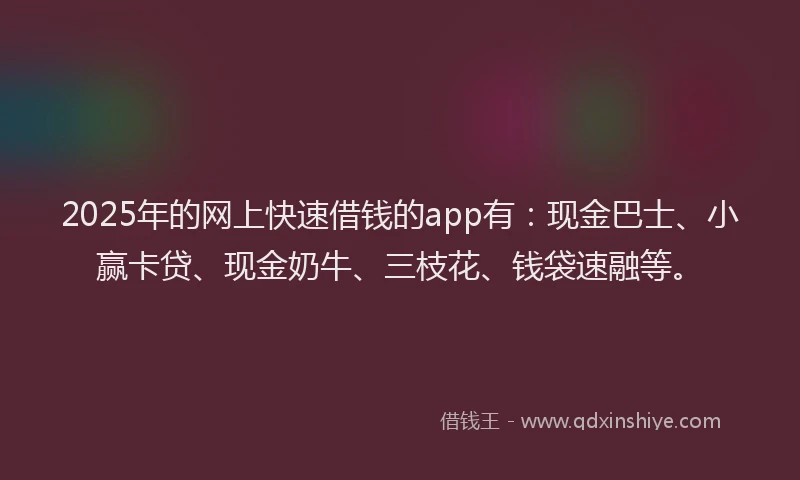 2025年的网上快速借钱的app有：现金巴士、小赢卡贷、现金奶牛、三枝花、钱袋速融等。