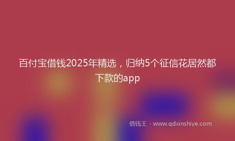 百付宝借钱2025年精选，归纳5个征信花居然都下款的app