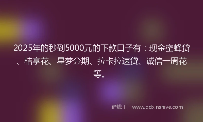 2025年的秒到5000元的下款口子有：现金蜜蜂贷、桔享花、星梦分期、拉卡拉速贷、诚信一周花等。