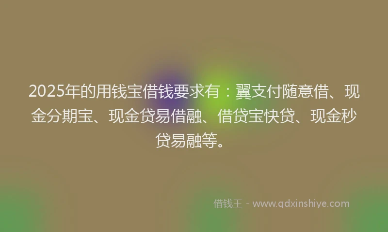 2025年的用钱宝借钱要求有：翼支付随意借、现金分期宝、现金贷易借融、借贷宝快贷、现金秒贷易融等。