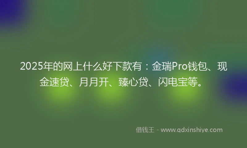 2025年的网上什么好下款有：金瑞Pro钱包、现金速贷、月月开、臻心贷、闪电宝等。