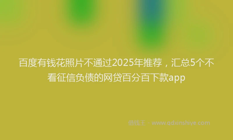 百度有钱花照片不通过2025年推荐，汇总5个不看征信负债的网贷百分百下款app