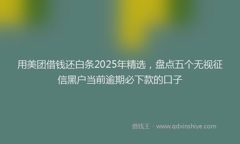 用美团借钱还白条2025年精选，盘点五个无视征信黑户当前逾期必下款的口子