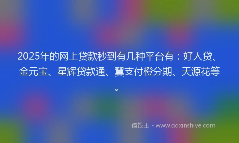 2025年的网上贷款秒到有几种平台有：好人贷、金元宝、星辉贷款通、翼支付橙分期、天源花等。