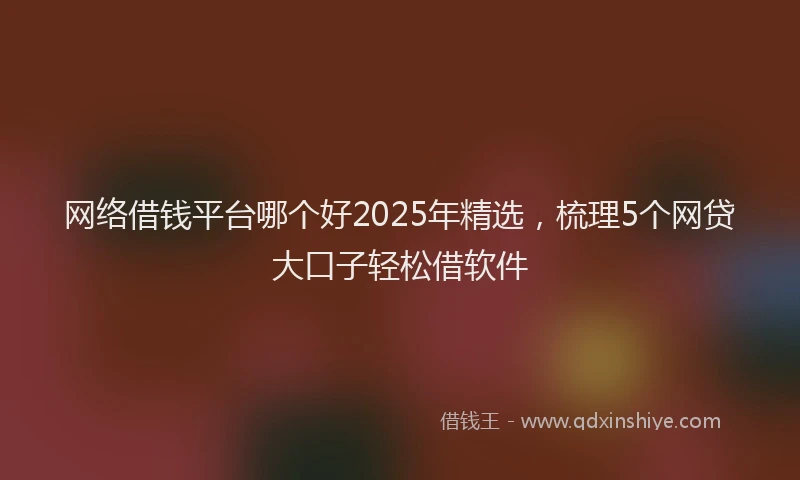 网络借钱平台哪个好2025年精选，梳理5个网贷大口子轻松借软件