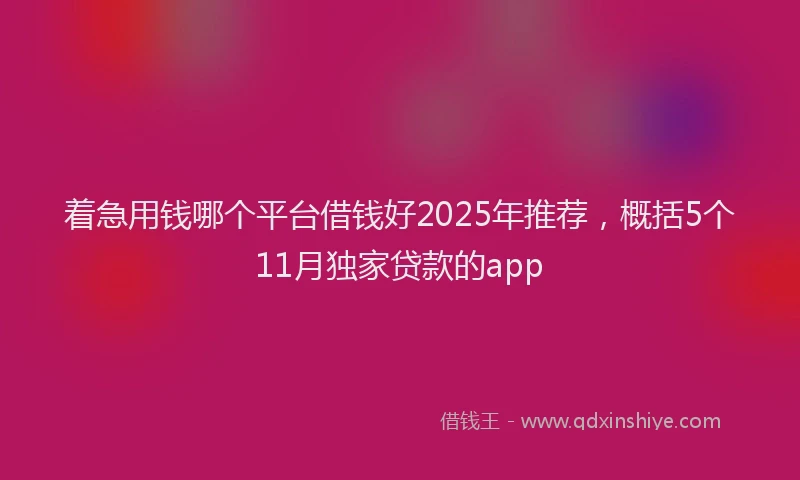 着急用钱哪个平台借钱好2025年推荐，概括5个11月独家贷款的app