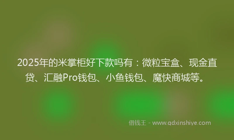 2025年的米掌柜好下款吗有：微粒宝盒、现金直贷、汇融Pro钱包、小鱼钱包、魔快商城等。