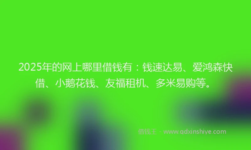 2025年的网上哪里借钱有：钱速达易、爱鸿森快借、小鹅花钱、友福租机、多米易购等。