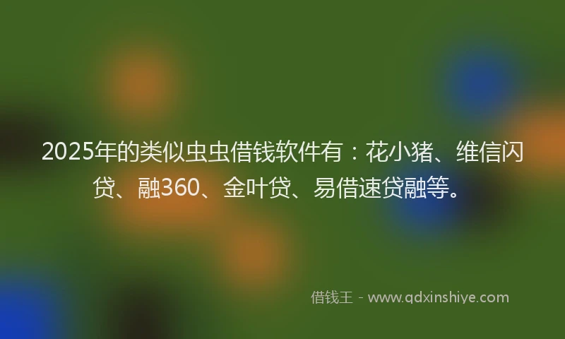 2025年的类似虫虫借钱软件有：花小猪、维信闪贷、融360、金叶贷、易借速贷融等。