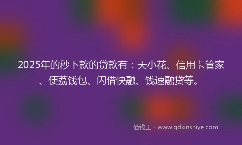 2025年的秒下款的贷款有：天小花、信用卡管家、便荔钱包、闪借快融、钱速融贷等。