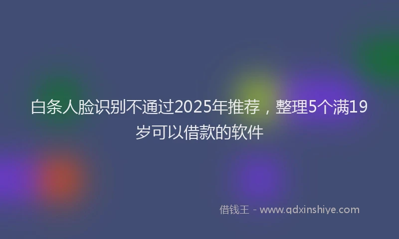 白条人脸识别不通过2025年推荐，整理5个满19岁可以借款的软件