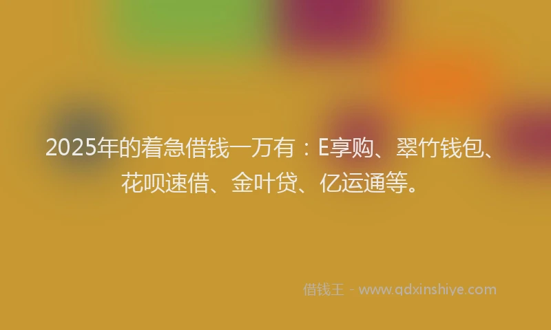 2025年的着急借钱一万有：E享购、翠竹钱包、花呗速借、金叶贷、亿运通等。