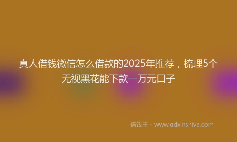 真人借钱微信怎么借款的2025年推荐，梳理5个无视黑花能下款一万元口子