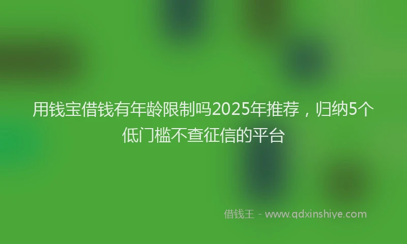 用钱宝借钱有年龄限制吗2025年推荐，归纳5个低门槛不查征信的平台