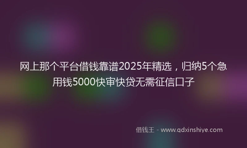 网上那个平台借钱靠谱2025年精选，归纳5个急用钱5000快审快贷无需征信口子