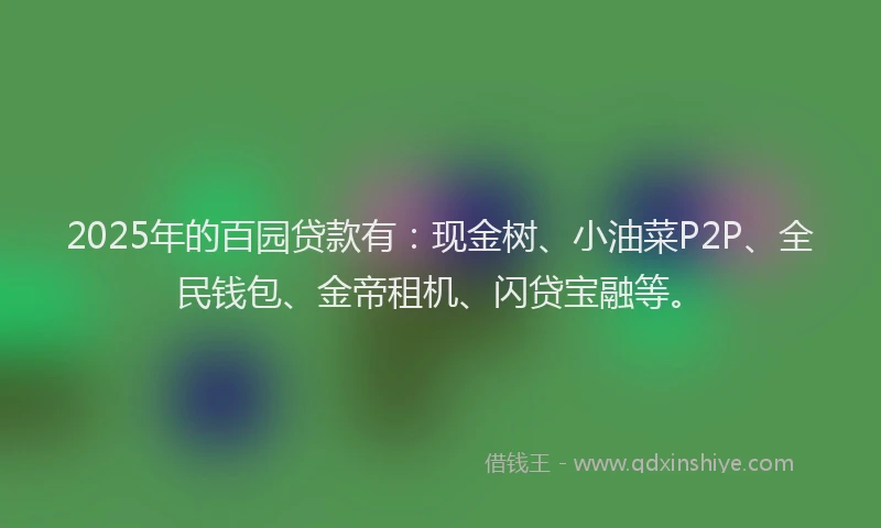 2025年的百园贷款有：现金树、小油菜P2P、全民钱包、金帝租机、闪贷宝融等。