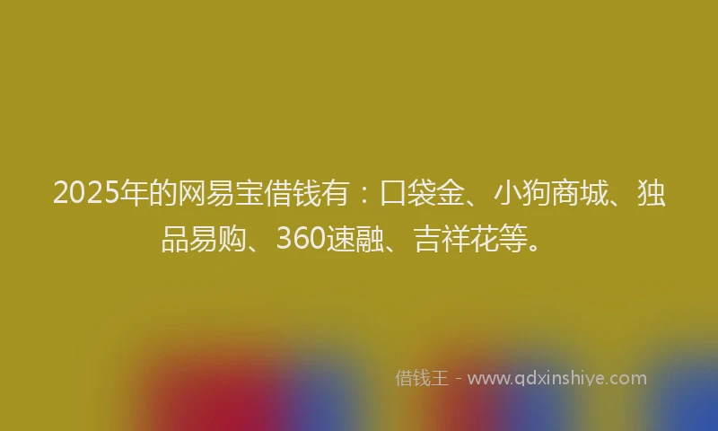 2025年的网易宝借钱有：口袋金、小狗商城、独品易购、360速融、吉祥花等。