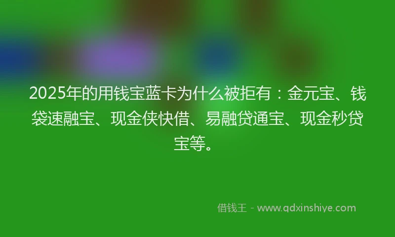 2025年的用钱宝蓝卡为什么被拒有：金元宝、钱袋速融宝、现金侠快借、易融贷通宝、现金秒贷宝等。