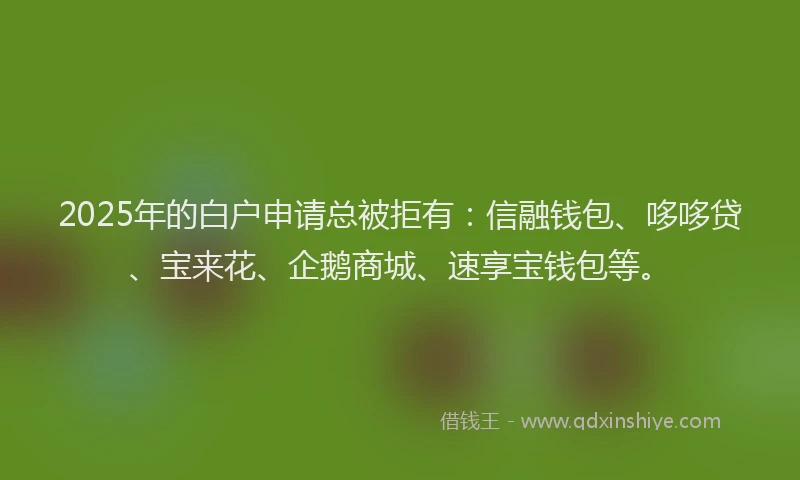 2025年的白户申请总被拒有：信融钱包、哆哆贷、宝来花、企鹅商城、速享宝钱包等。