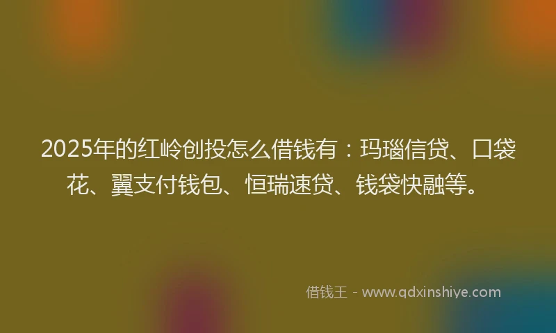 2025年的红岭创投怎么借钱有：玛瑙信贷、口袋花、翼支付钱包、恒瑞速贷、钱袋快融等。