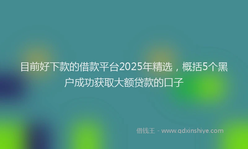 目前好下款的借款平台2025年精选，概括5个黑户成功获取大额贷款的口子