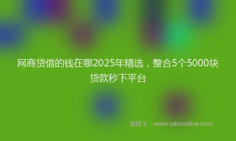 网商贷借的钱在哪2025年精选，整合5个5000块贷款秒下平台