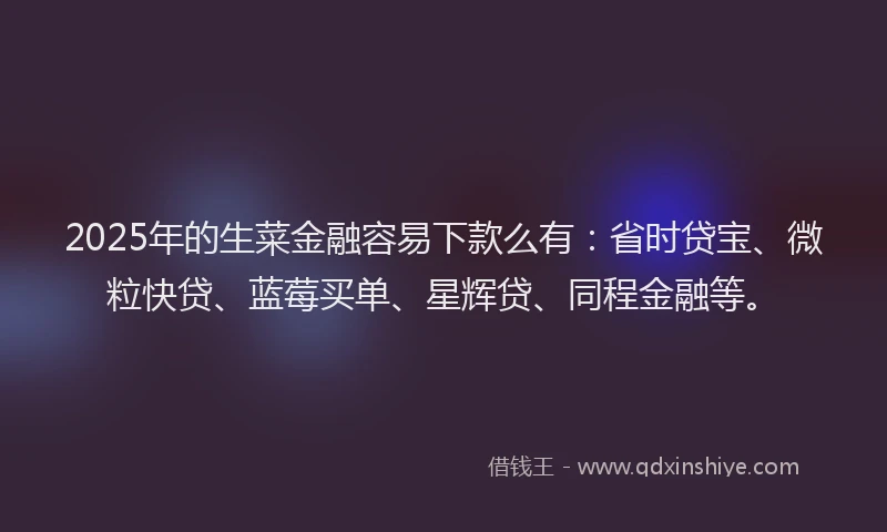 2025年的生菜金融容易下款么有：省时贷宝、微粒快贷、蓝莓买单、星辉贷、同程金融等。