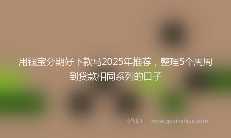 用钱宝分期好下款马2025年推荐，整理5个周周到贷款相同系列的口子