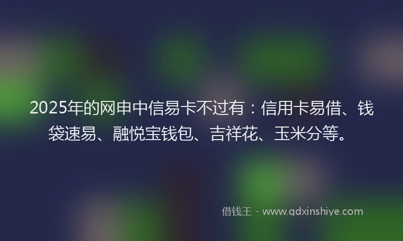 2025年的网申中信易卡不过有：信用卡易借、钱袋速易、融悦宝钱包、吉祥花、玉米分等。
