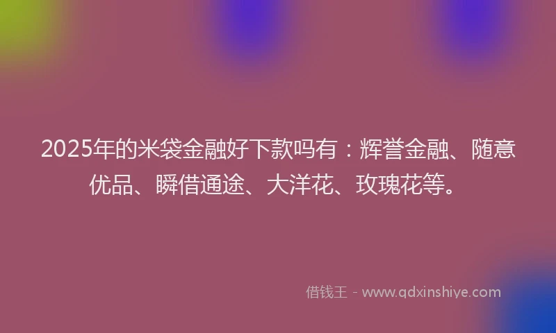 2025年的米袋金融好下款吗有：辉誉金融、随意优品、瞬借通途、大洋花、玫瑰花等。