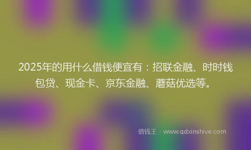 2025年的用什么借钱便宜有：招联金融、时时钱包贷、现金卡、京东金融、蘑菇优选等。
