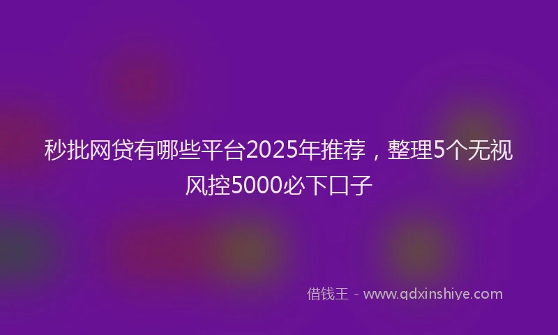 秒批网贷有哪些平台2025年推荐，整理5个无视风控5000必下口子