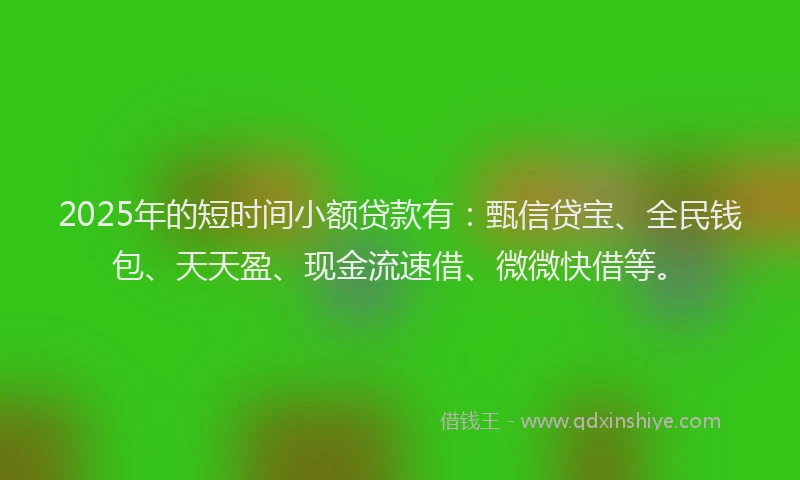 2025年的短时间小额贷款有：甄信贷宝、全民钱包、天天盈、现金流速借、微微快借等。