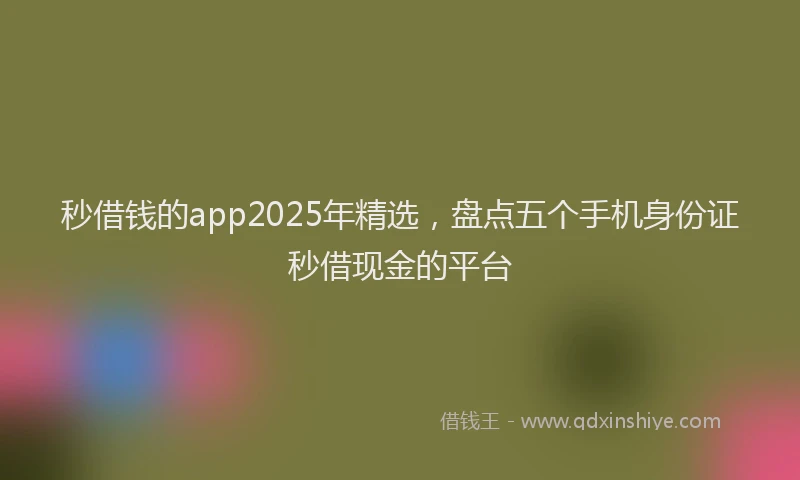 秒借钱的app2025年精选，盘点五个手机身份证秒借现金的平台