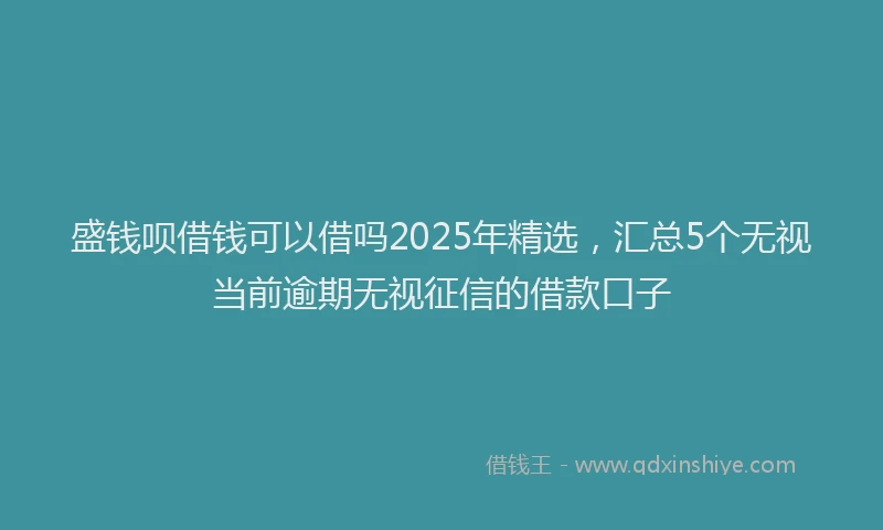 盛钱呗借钱可以借吗2025年精选，汇总5个无视当前逾期无视征信的借款口子