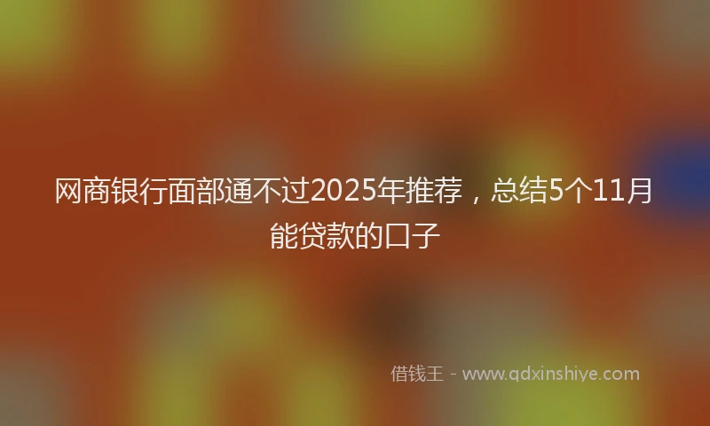 网商银行面部通不过2025年推荐，总结5个11月能贷款的口子