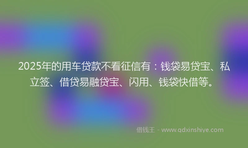 2025年的用车贷款不看征信有：钱袋易贷宝、私立签、借贷易融贷宝、闪用、钱袋快借等。