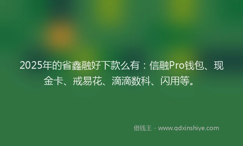 2025年的省鑫融好下款么有：信融Pro钱包、现金卡、戒易花、滴滴数科、闪用等。