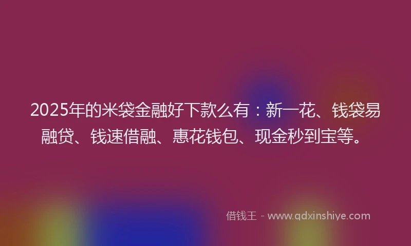 2025年的米袋金融好下款么有：新一花、钱袋易融贷、钱速借融、惠花钱包、现金秒到宝等。