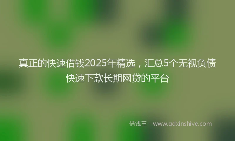 真正的快速借钱2025年精选，汇总5个无视负债快速下款长期网贷的平台
