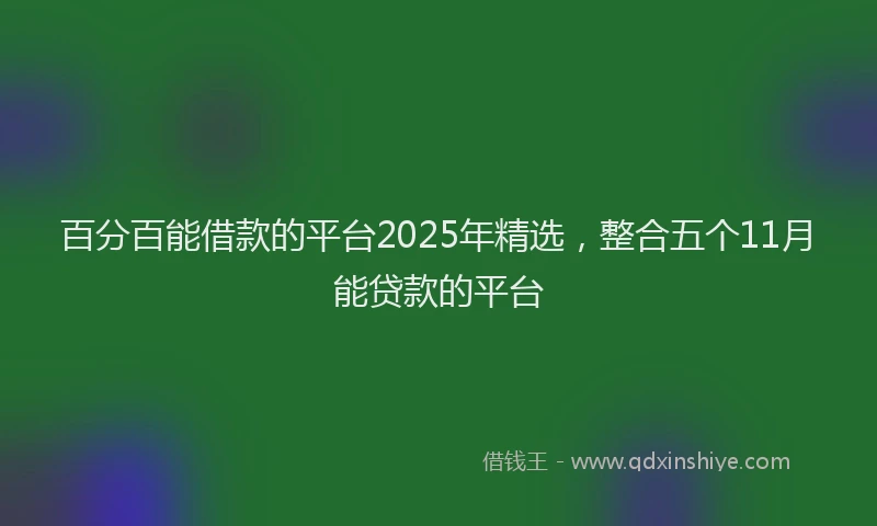 百分百能借款的平台2025年精选，整合五个11月能贷款的平台