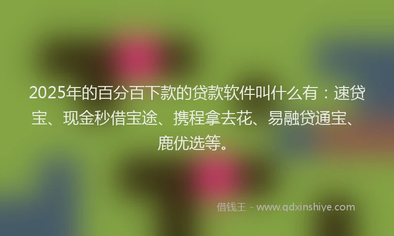 2025年的百分百下款的贷款软件叫什么有：速贷宝、现金秒借宝途、携程拿去花、易融贷通宝、鹿优选等。